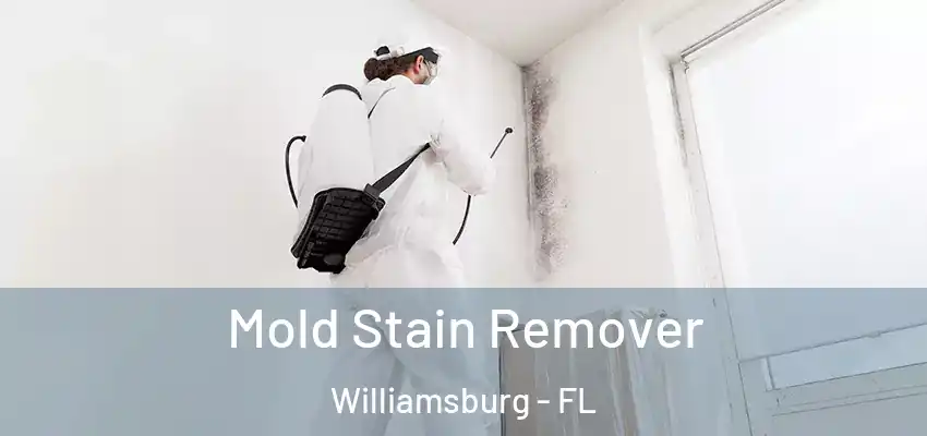 Mold Stain Remover Williamsburg - FL
