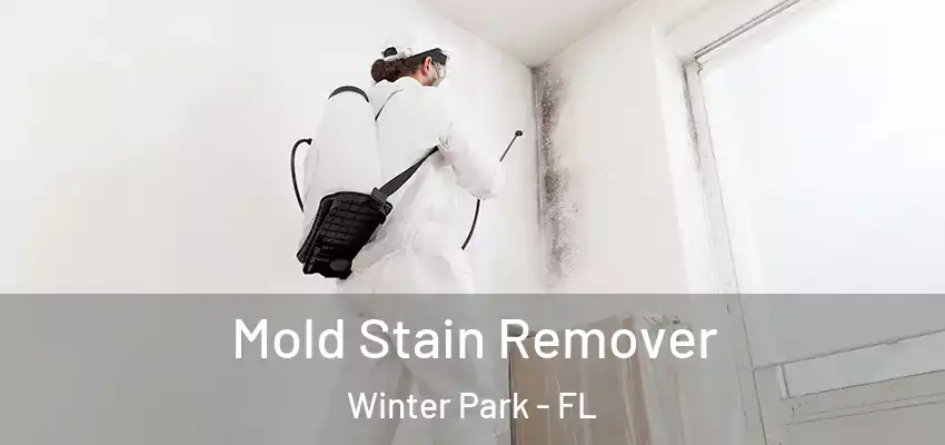  Mold Stain Remover Winter Park - FL
