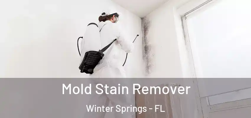  Mold Stain Remover Winter Springs - FL