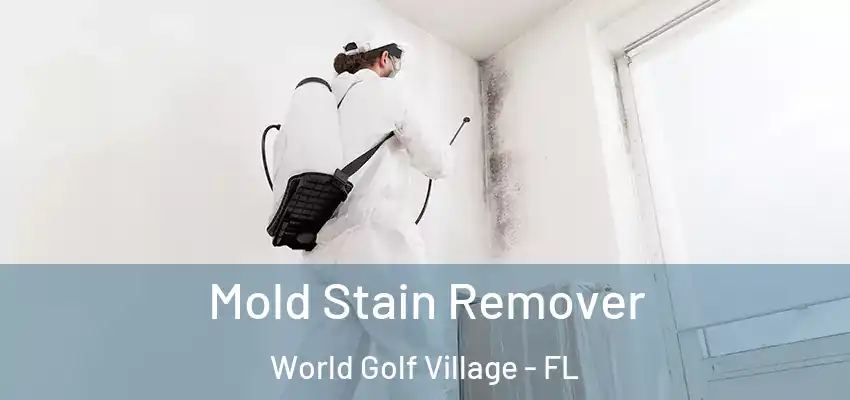  Mold Stain Remover World Golf Village - FL