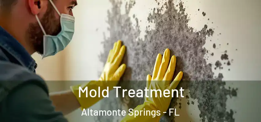  Mold Treatment Altamonte Springs - FL