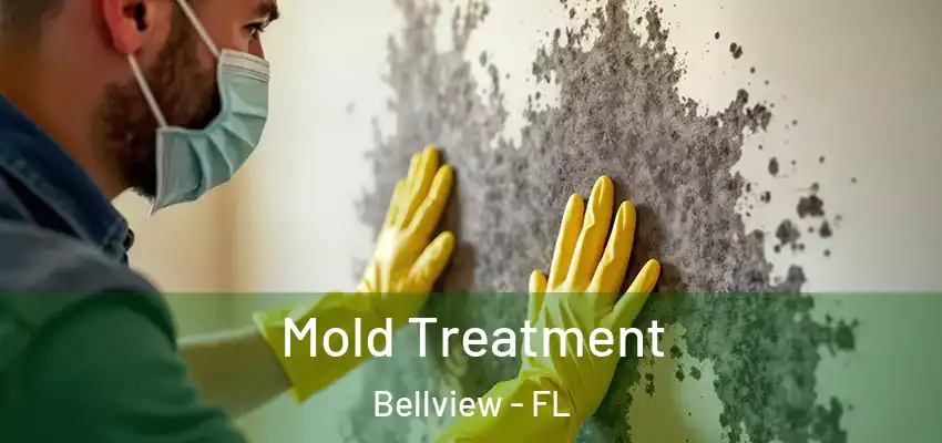 Mold Treatment Bellview - FL