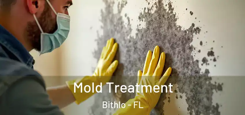 Mold Treatment Bithlo - FL