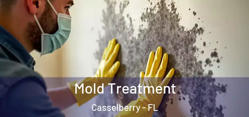  Mold Treatment Casselberry - FL