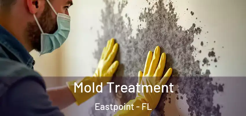  Mold Treatment Eastpoint - FL