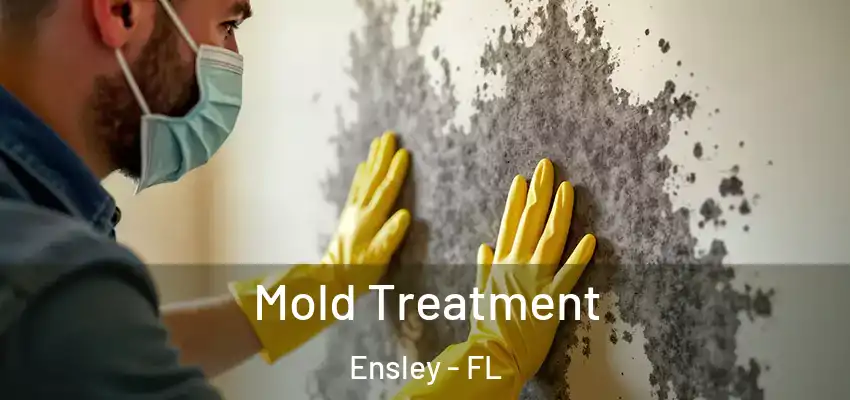 Mold Treatment Ensley - FL