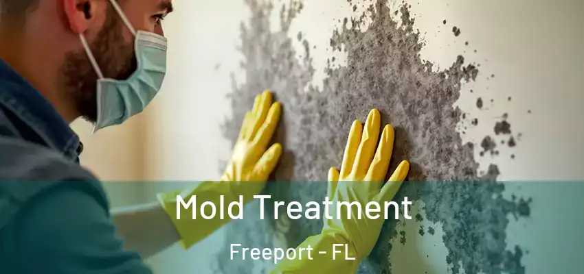  Mold Treatment Freeport - FL