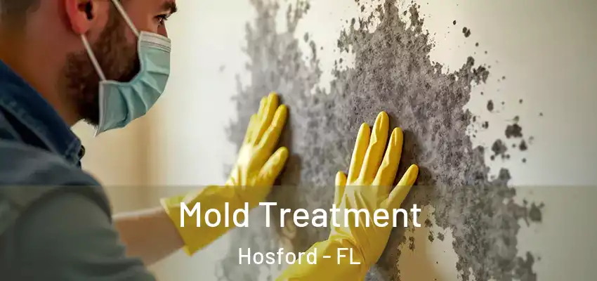  Mold Treatment Hosford - FL