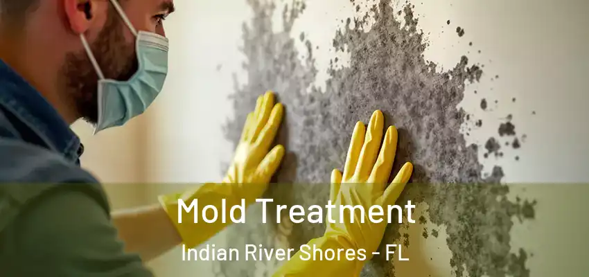  Mold Treatment Indian River Shores - FL
