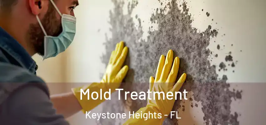  Mold Treatment Keystone Heights - FL