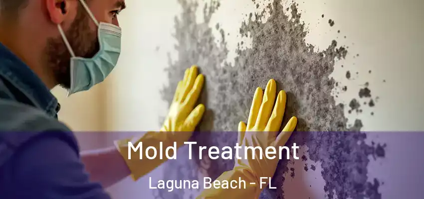 Mold Treatment Laguna Beach - FL