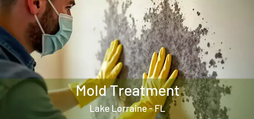  Mold Treatment Lake Lorraine - FL