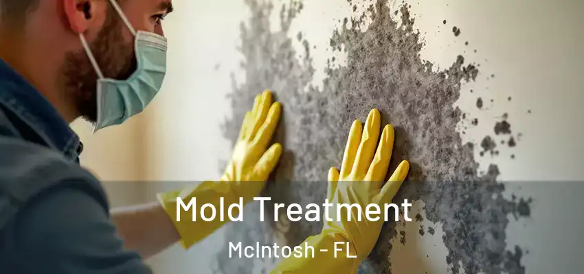  Mold Treatment McIntosh - FL