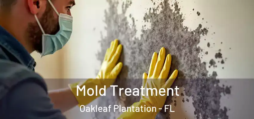  Mold Treatment Oakleaf Plantation - FL