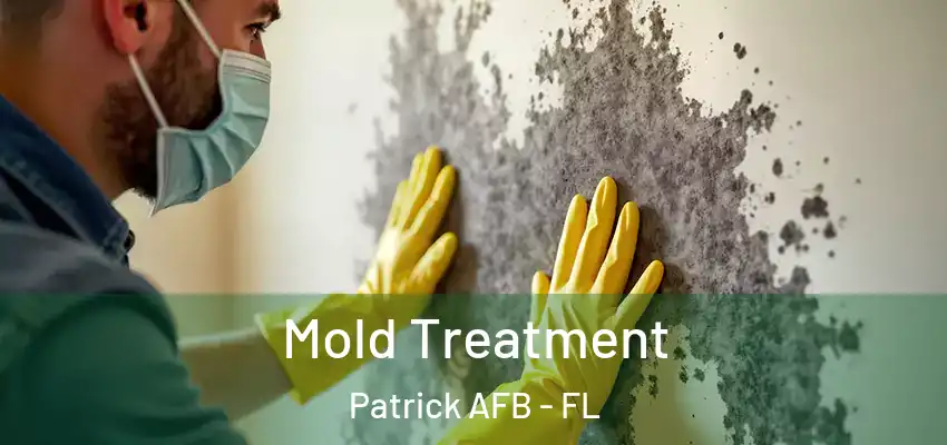  Mold Treatment Patrick AFB - FL