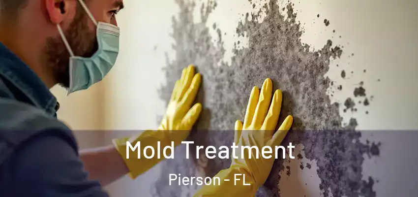 Mold Treatment Pierson - FL