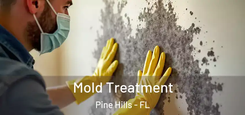 Mold Treatment Pine Hills - FL