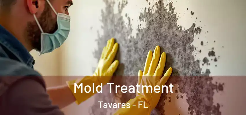  Mold Treatment Tavares - FL