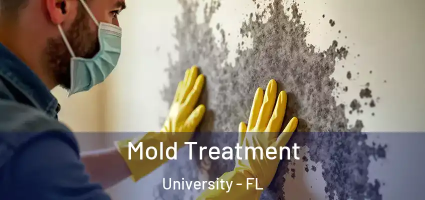Mold Treatment University - FL