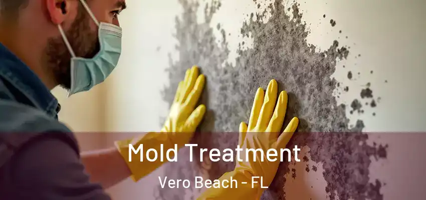  Mold Treatment Vero Beach - FL