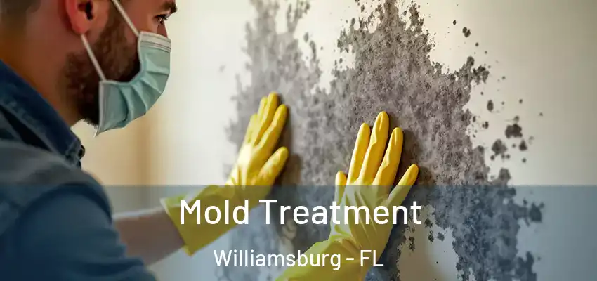 Mold Treatment Williamsburg - FL