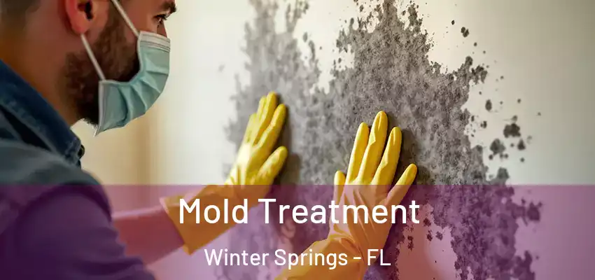  Mold Treatment Winter Springs - FL