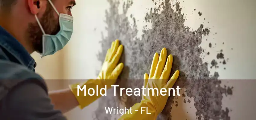 Mold Treatment Wright - FL