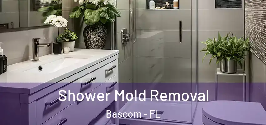  Shower Mold Removal Bascom - FL
