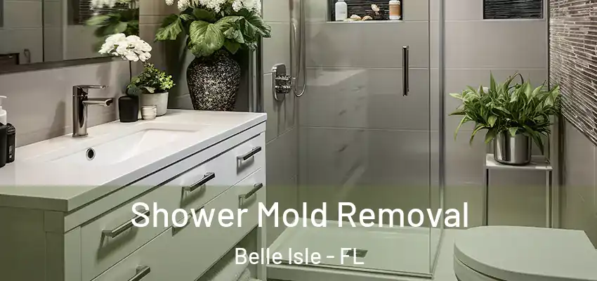  Shower Mold Removal Belle Isle - FL