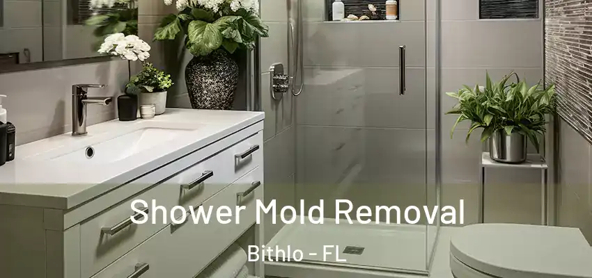  Shower Mold Removal Bithlo - FL