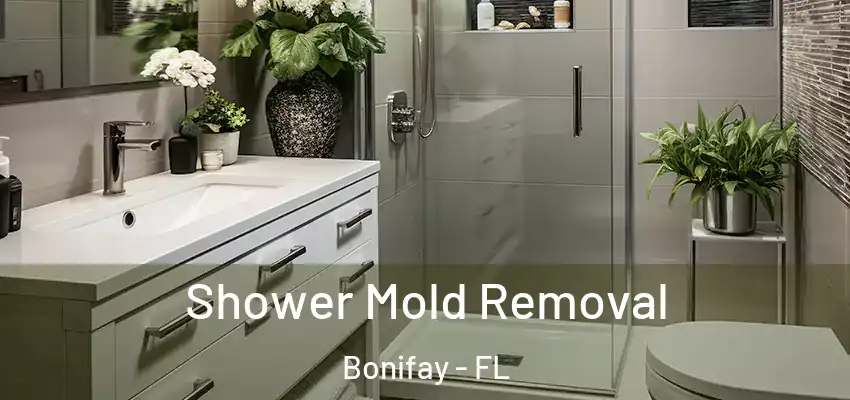  Shower Mold Removal Bonifay - FL