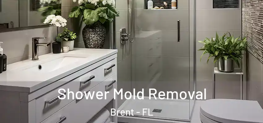 Shower Mold Removal Brent - FL