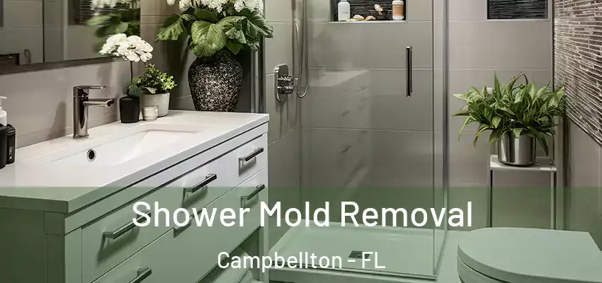  Shower Mold Removal Campbellton - FL