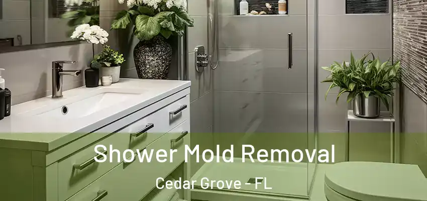 Shower Mold Removal Cedar Grove - FL