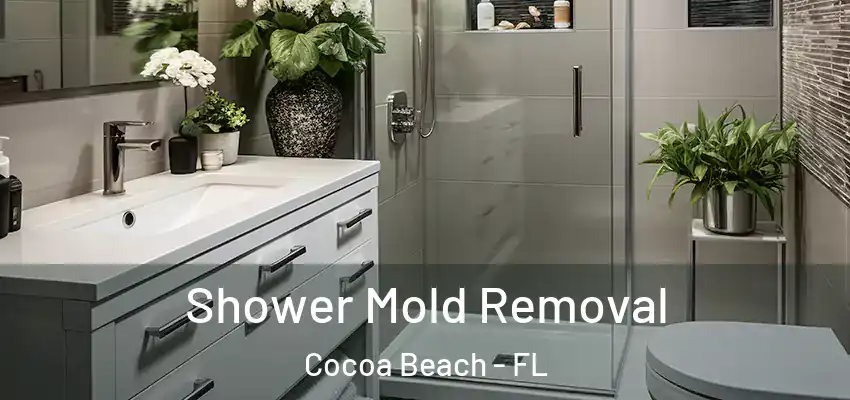  Shower Mold Removal Cocoa Beach - FL