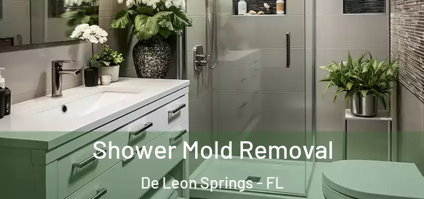  Shower Mold Removal De Leon Springs - FL