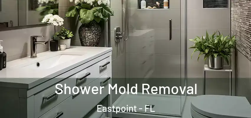 Shower Mold Removal Eastpoint - FL