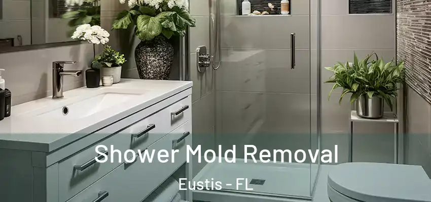 Shower Mold Removal Eustis - FL