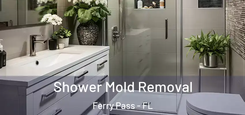  Shower Mold Removal Ferry Pass - FL