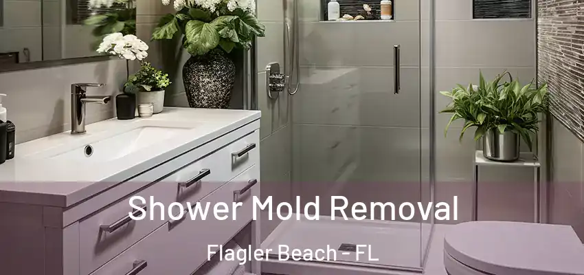  Shower Mold Removal Flagler Beach - FL