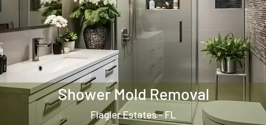  Shower Mold Removal Flagler Estates - FL