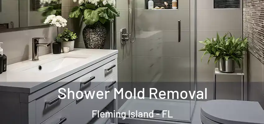  Shower Mold Removal Fleming Island - FL