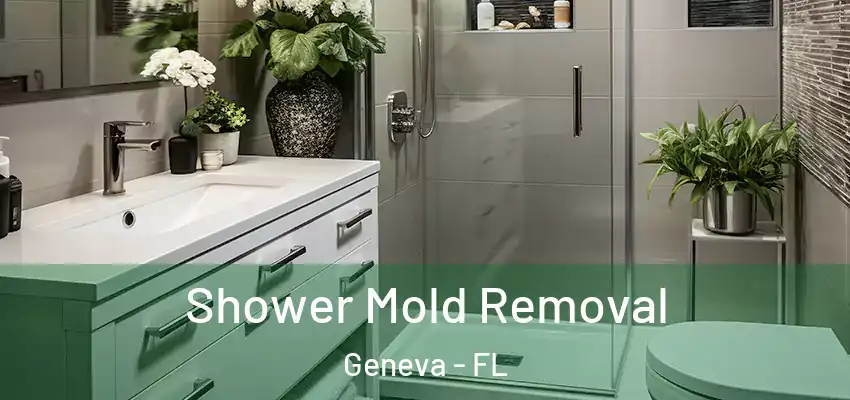 Shower Mold Removal Geneva - FL