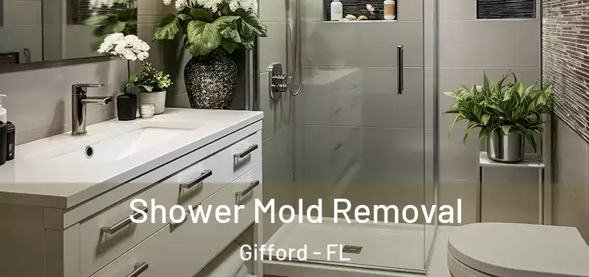  Shower Mold Removal Gifford - FL
