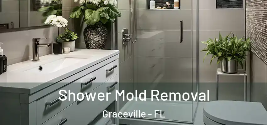  Shower Mold Removal Graceville - FL