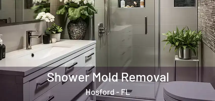  Shower Mold Removal Hosford - FL