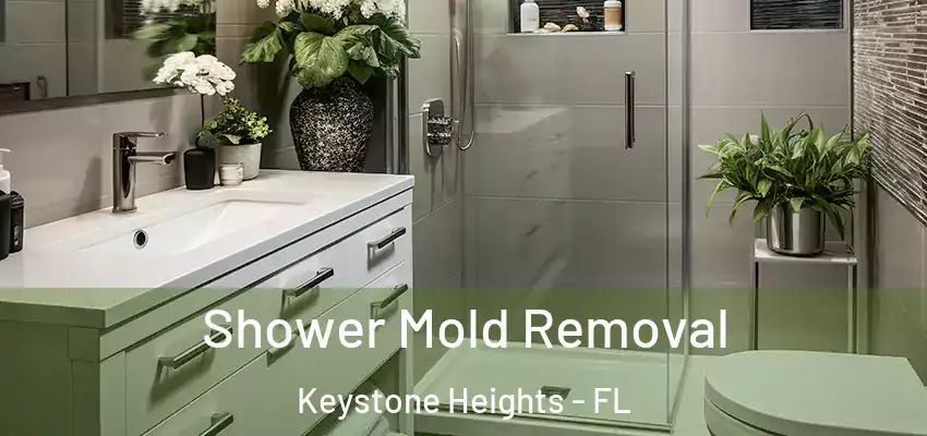 Shower Mold Removal Keystone Heights - FL