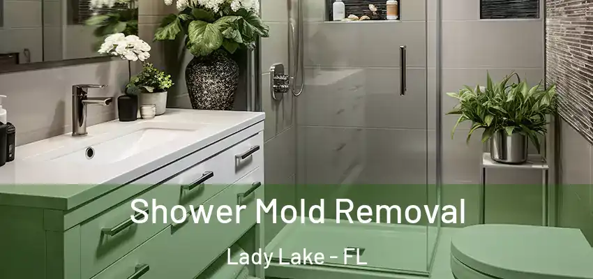  Shower Mold Removal Lady Lake - FL