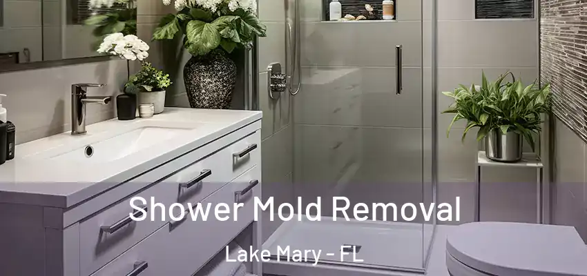  Shower Mold Removal Lake Mary - FL