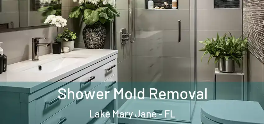  Shower Mold Removal Lake Mary Jane - FL